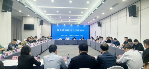 劳务品牌建设工作座谈会在海南海口成功召开，共商劳务服务发展新篇章